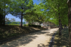 after_02