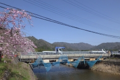 before_02