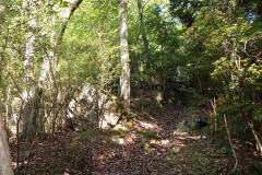 before_01